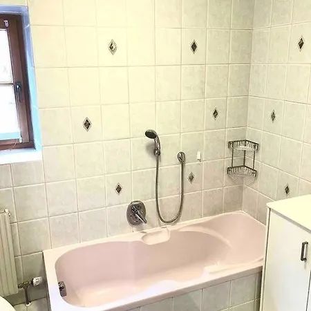 Ferienwohnung Muhlbachberg Apartment Traunkirchen